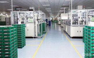 寧德時代首個海外工廠正式動工，信息技術咨詢服務助力全球化布局